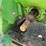 john-deere-8450-image-46