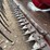 case-ih-1020-image-39