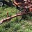 kewanee-1020-image-16
