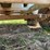 willmar-500-image-29
