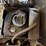 international-cub-image-18
