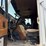 1997-freightliner-flb-high-coe-tractor-truck-image-34