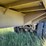 2006-converto-27ft-semi-end-dump-silage-trailer-image-34