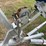 calaic-19'-cuddy-cabin-boat-image-9