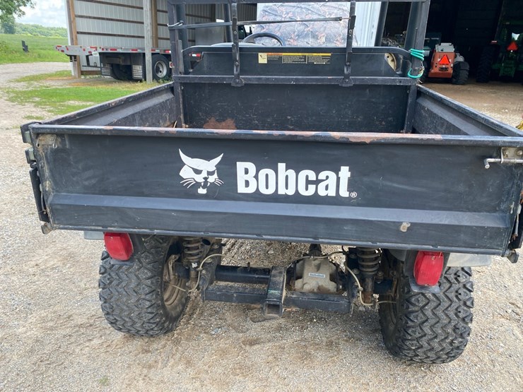 bobcat-image-39