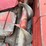 case-ih-844-image-15