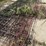 6-cattle-panels-image-3