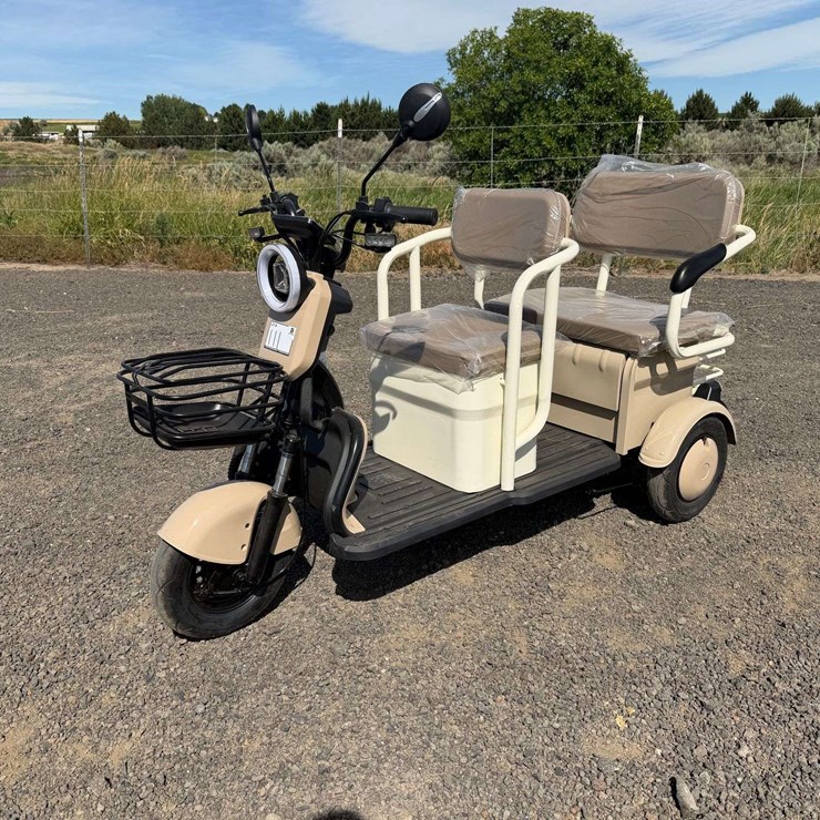 2026 SDLANCH IRGC40 Mini Golf Cart