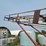 new-holland-bale-conveyor-w/transport-tires-and-electric-motor-image-19