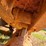 caterpillar-931b-image-16