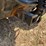 polaris-ranger-image-9