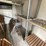 2016-international-durastar-4400-image-51