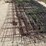 6-cattle-panels-image-5