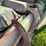 john-deere-643-image-23