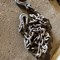 july-28,-2026-@3:30-p.m.--online-only-consignment-auction-of-livestock-equipment!!!-ring-2-image-5