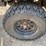 bobcat-image-34