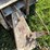 international-cub-image-30