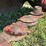 gehl-dm162-7ft-disc-mower-image-17