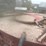 case-ih-1250-image-33