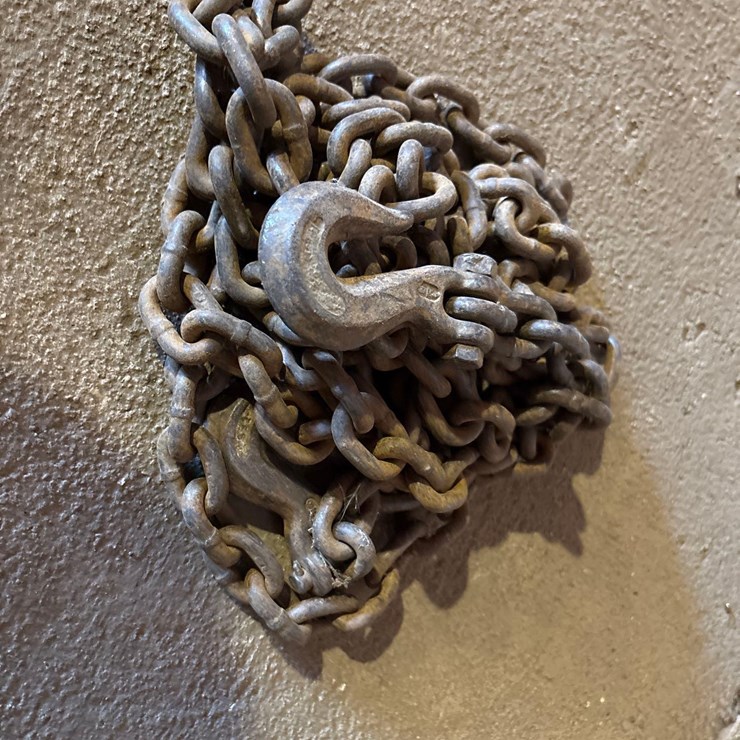 14’ Log Chain