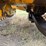caterpillar-crawler-tractor---edwall,-wa-image-66
