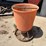 sioux-hog-feeder-image-1