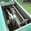 john-deere-327-image-16