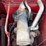 2006-international-2388-axle-flow-combine-image-72