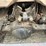 2003-freightliner-fl112-image-76