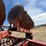case-ih-770-image-15