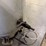 2004-speedaire-80-gallon-air-compressor-image-2