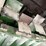 john-deere-6600-image-35