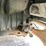 2016-international-durastar-4400-image-31