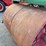 buffalo-springfield-steam-road-roller-image-10