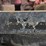 polaris-pro-xd-4000d-image-25