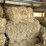 (55)-bales-of-1st-cutting-2026-hay---no-rain-image-14