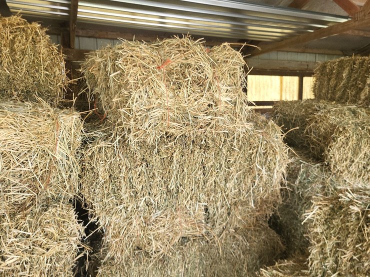 (55)-bales-of-1st-cutting-2026-hay---no-rain-image-14