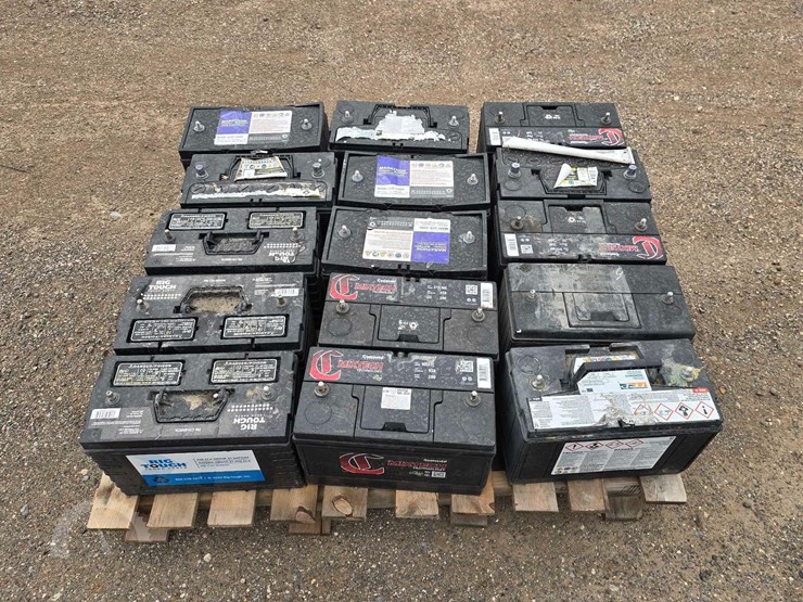 qty.-(15)-misc.-batteries-image-5
