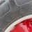 international-cub-image-17