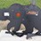 pabreak-shooting-target-45728-image-1