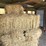 (55)-bales-of-1st-cutting-2026-hay---no-rain-image-8