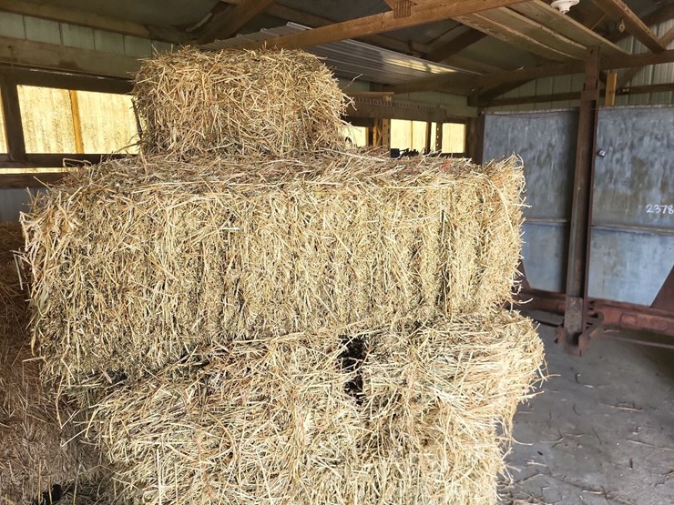(55)-bales-of-1st-cutting-2026-hay---no-rain-image-8