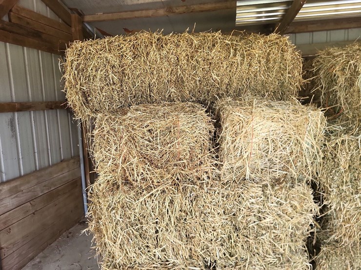 (55)-bales-of-1st-cutting-2026-hay---no-rain-image-17