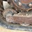 bobcat-864-image-18
