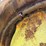 john-deere-mt-image-28