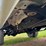 1999-dodge-ram-2500-image-30