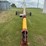 mayrath-auger-image-1
