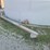 grain-bin---farthest-from-road-image-10