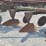 oliver-545-in-furrow--4-bottom-moldboard-plow-w/coulters-image-15