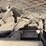 mack-c-cab-dump-truck-image-68